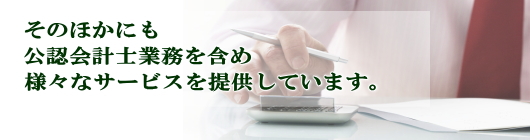 そのほかにも公認会計士業務を含め様々なサービスを提供しています。